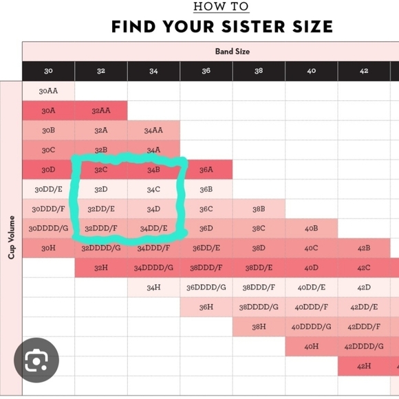 Talula Aritzia Pink Lace Bralette - Picture 13 of 13